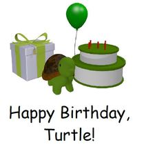 Turtle's Birthday Sight Word Reader